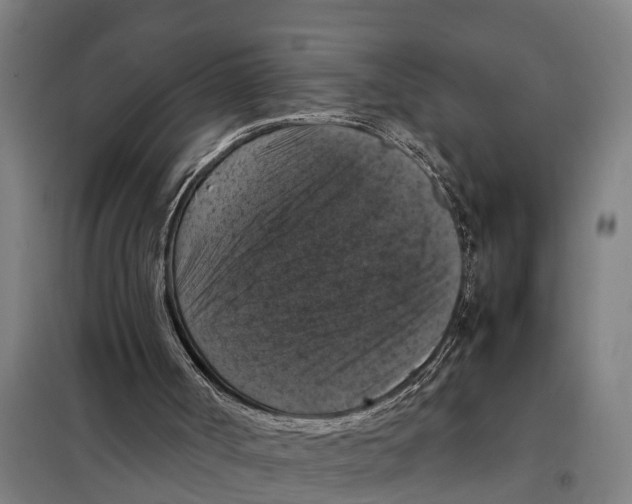 X0000098000002200804211144