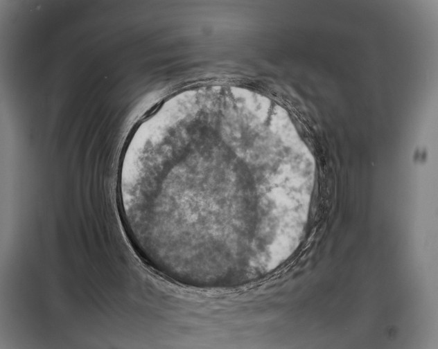 X0000098000003200804211144