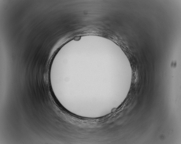 X0000098000004200804211144