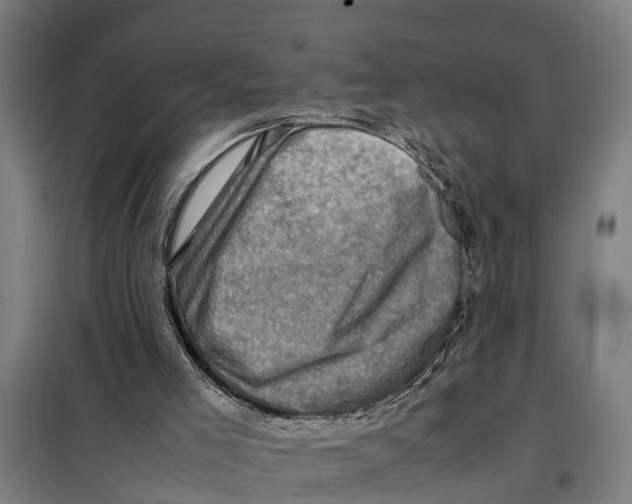 X0000098000005200804211144