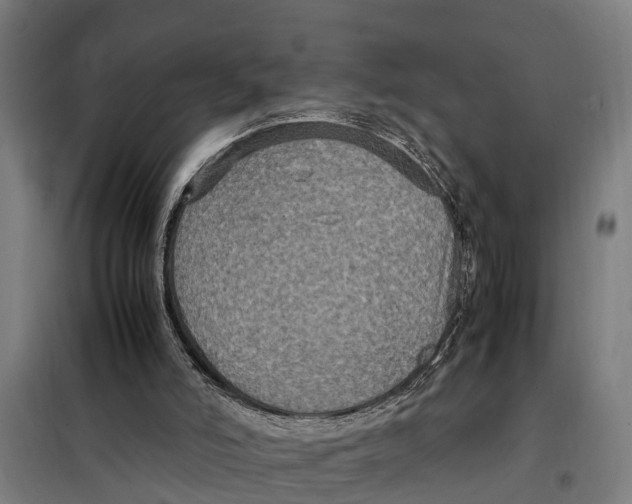 X0000098000006200804211144