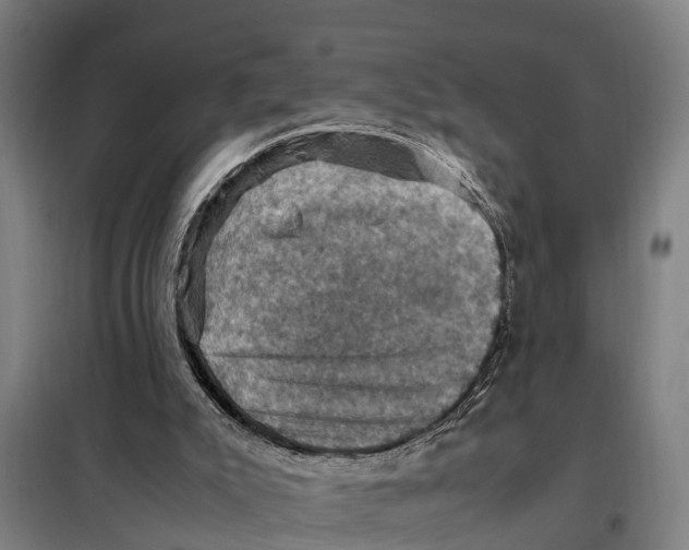 X0000098000007200804211144