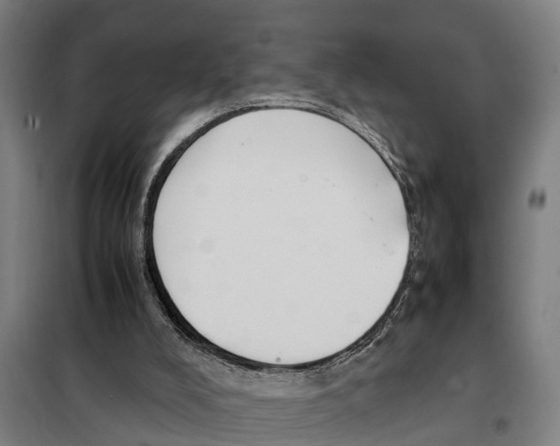 X0000098000008200804211144