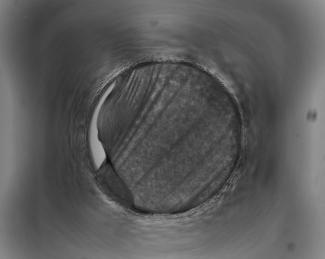 X0000098000009200804211144