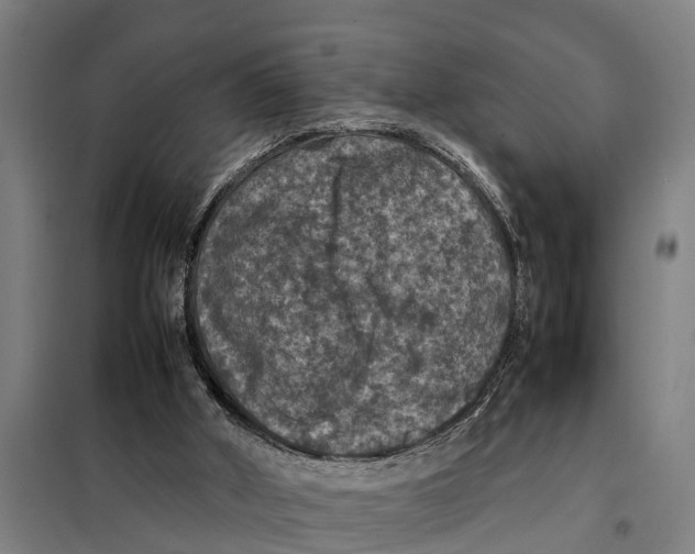 X0000098000010200804211144