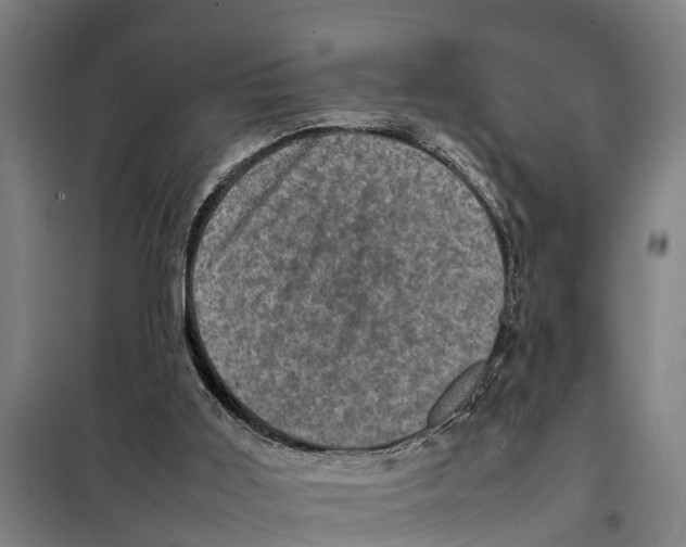 X0000098000011200804211144