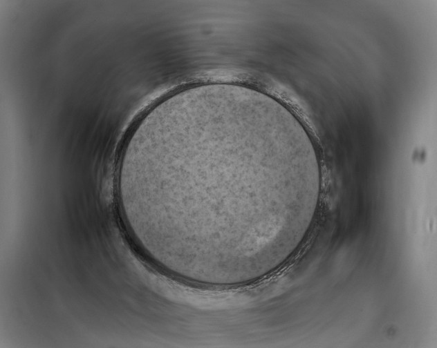 X0000098000012200804211144