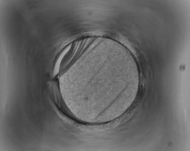X0000098000013200804211144