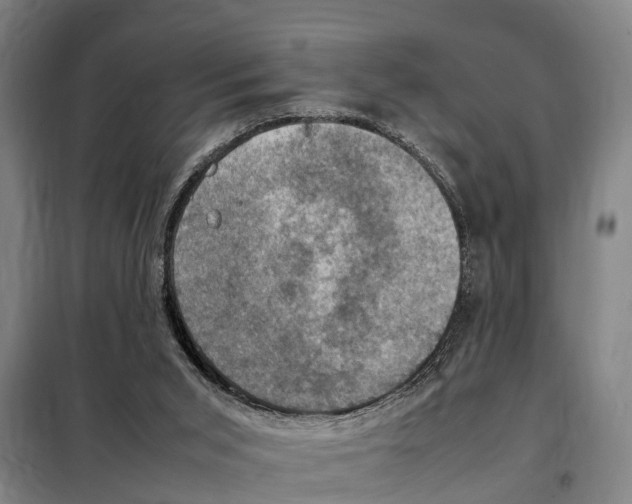 X0000098000015200804211144