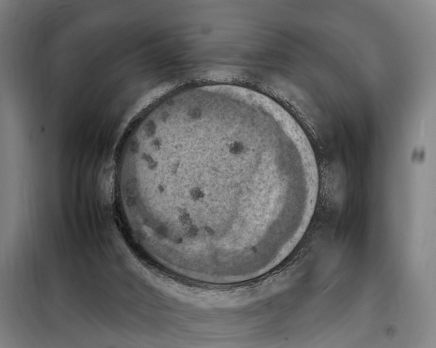 X0000098000016200804211144