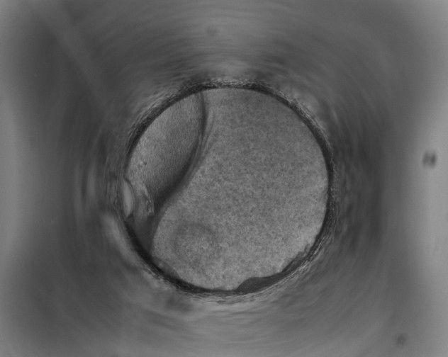 X0000098000017200804211144