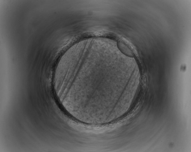 X0000098000018200804211144