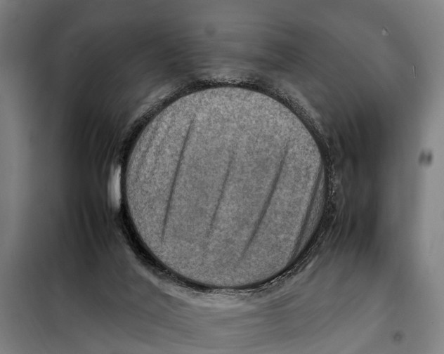 X0000098000020200804211144