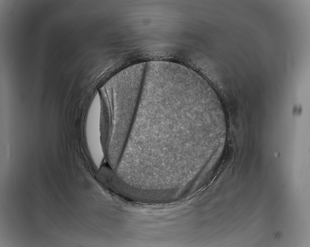 X0000098000021200804211144