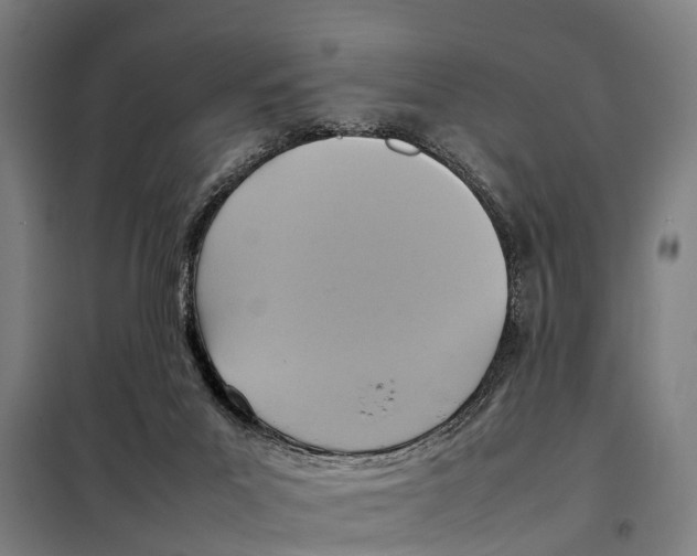 X0000098000023200804211143