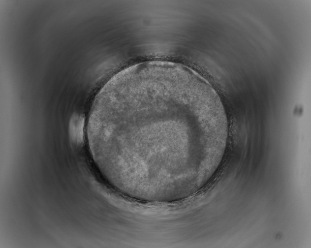 X0000098000024200804211143