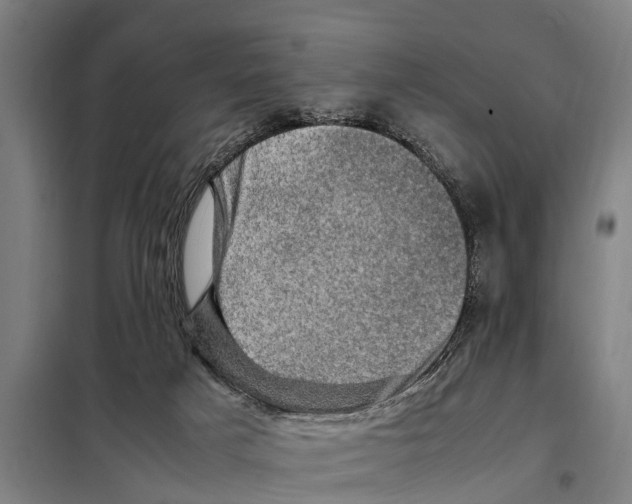 X0000098000025200804211143
