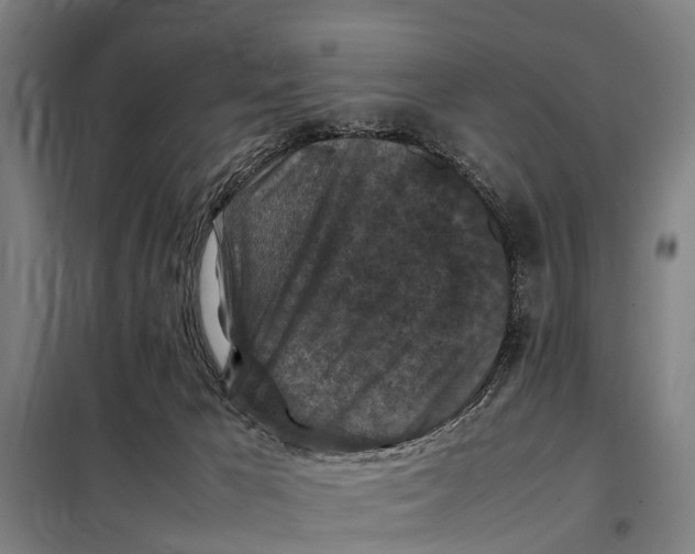 X0000098000029200804211143