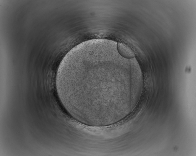 X0000098000030200804211143