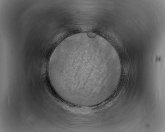 X0000098000032200804211143