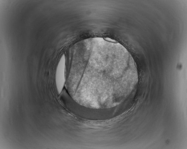 X0000098000033200804211143
