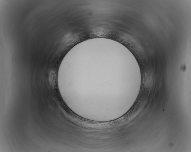X0000098000036200804211143