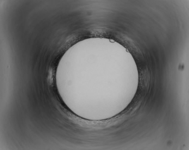 X0000098000038200804211143