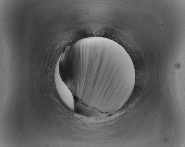 X0000098000039200804211143