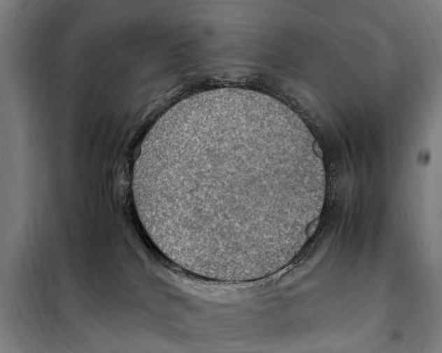 X0000098000040200804211143