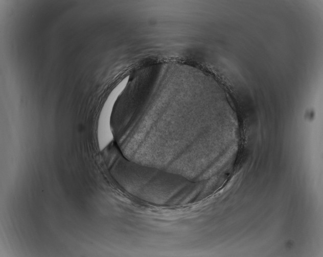 X0000098000041200804211143