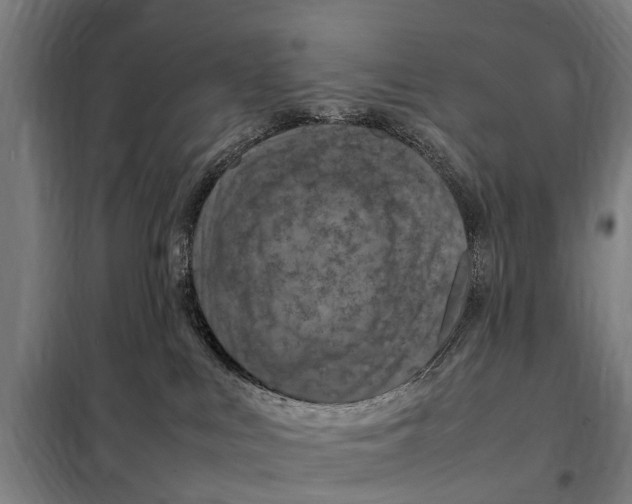 X0000098000043200804211143