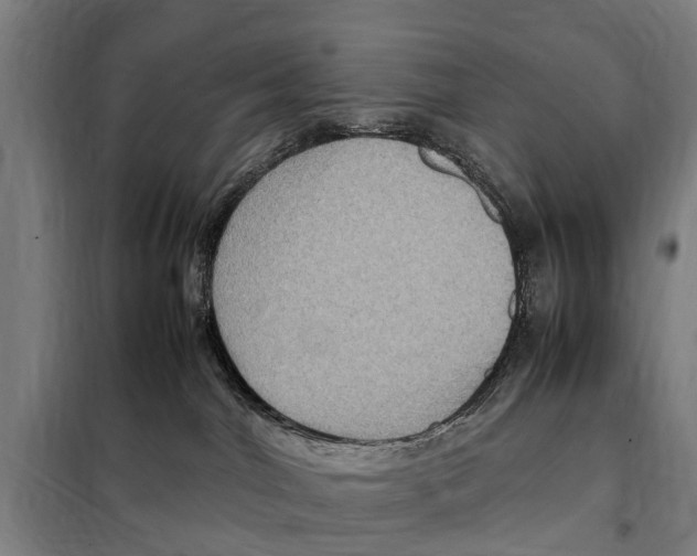 X0000098000044200804211143