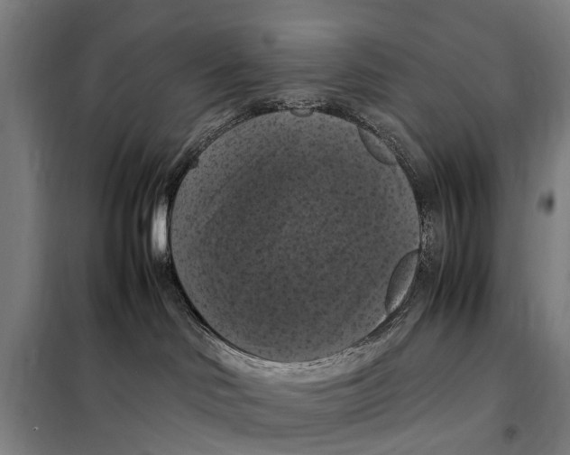 X0000098000046200804211143