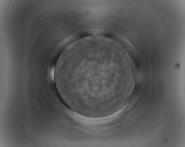 X0000098000047200804211143