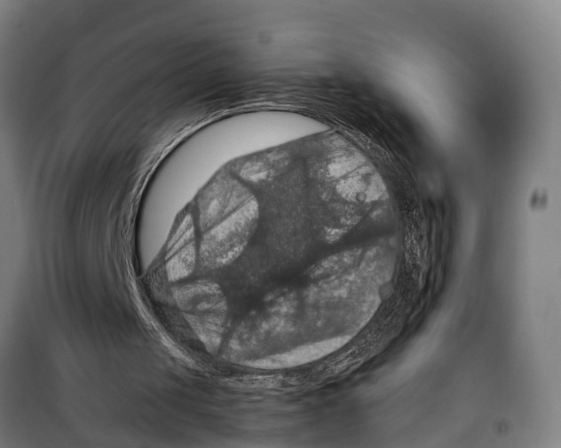 X0000098000049200804211142
