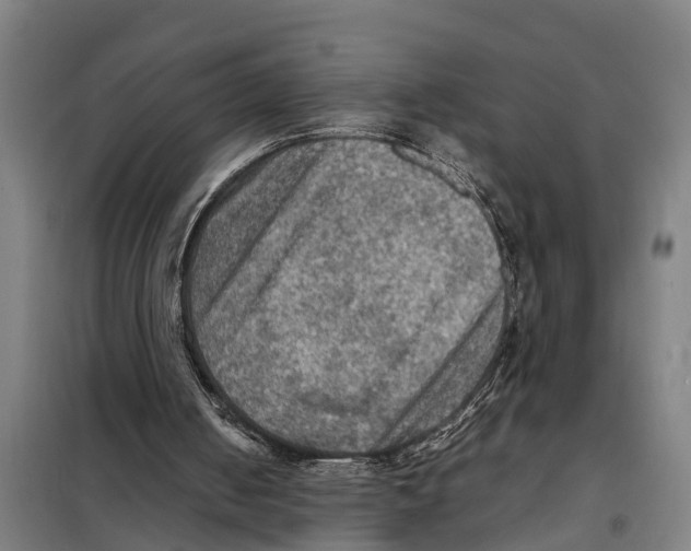 X0000098000050200804211142