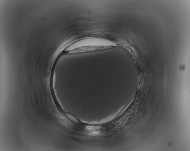 X0000098000051200804211142