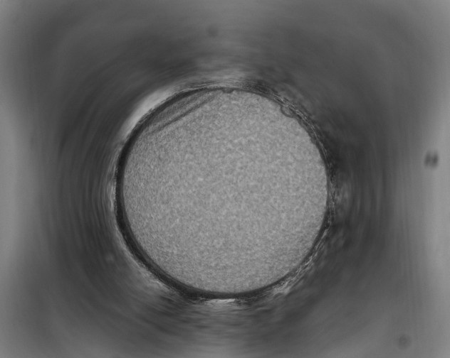 X0000098000054200804211142