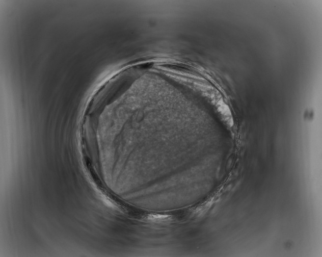 X0000098000055200804211142