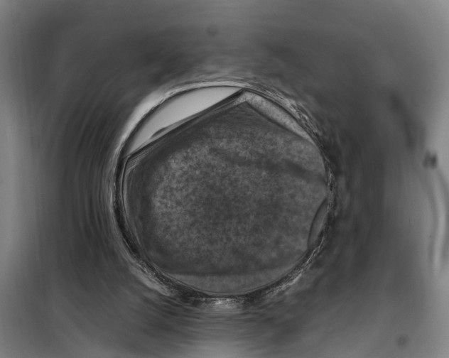 X0000098000056200804211142