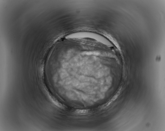 X0000098000057200804211142