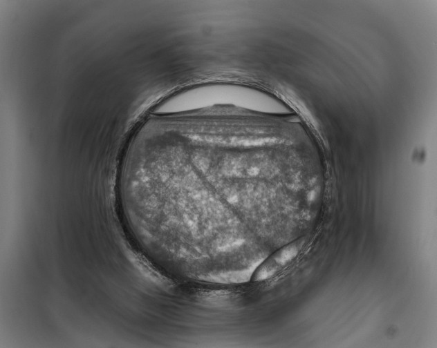 X0000098000058200804211142