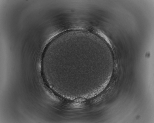 X0000098000059200804211142