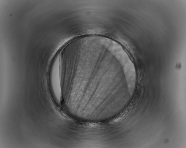 X0000098000060200804211142