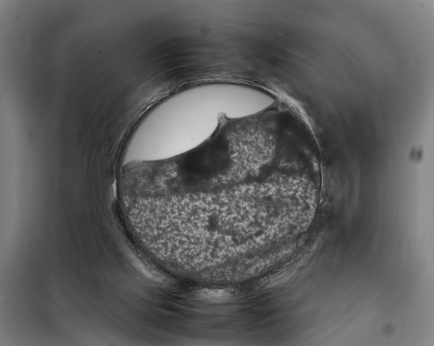 X0000098000061200804211142