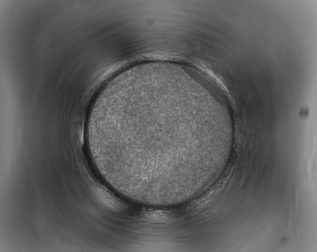 X0000098000062200804211142