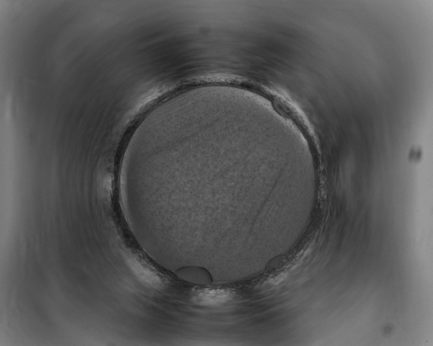 X0000098000063200804211142