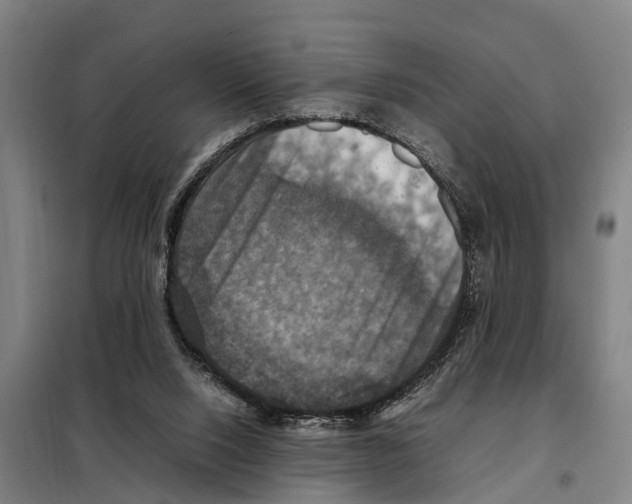 X0000098000064200804211142
