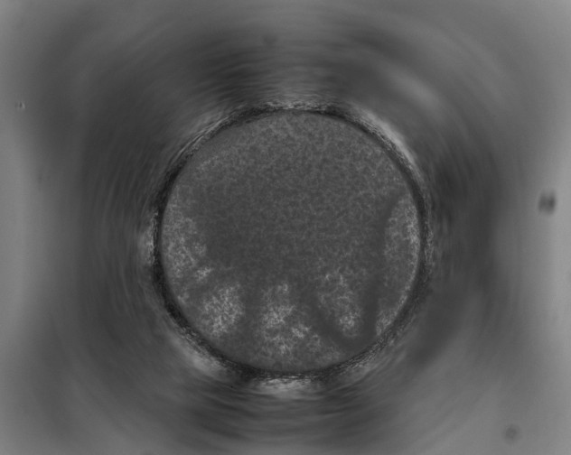 X0000098000065200804211142