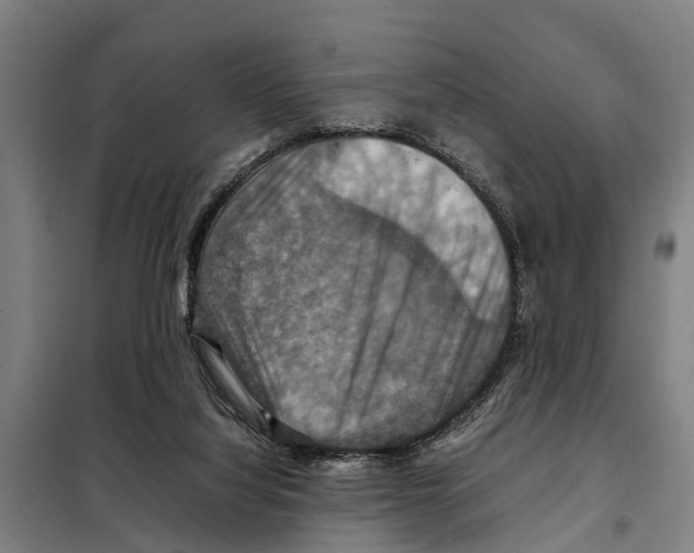 X0000098000068200804211142